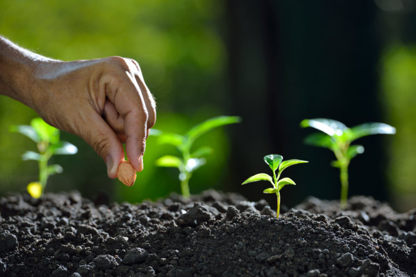 Farmer's hand planting a seed in soil